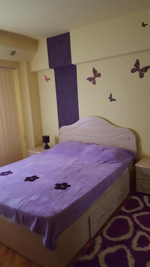 Apartament Cu 2 Camere Spatioase In Centrul Orasului - Andrei เบรยลา ภายนอก รูปภาพ